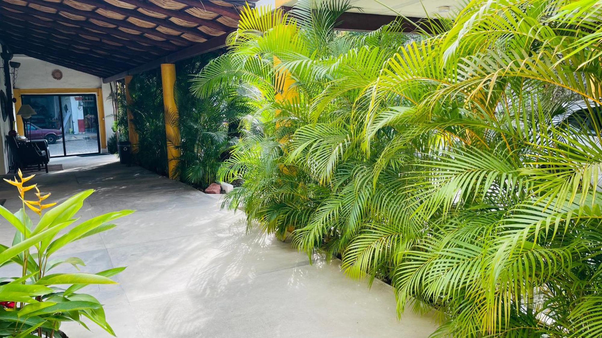 Hotel Boutique Ixaya Puerto Vallarta Ngoại thất bức ảnh